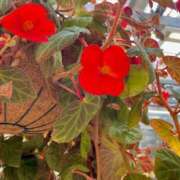 ヒメ日記 2025/06/22 17:52 投稿 はづき 錦糸町ちゃんこ