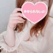 ヒメ日記 2025/05/15 18:10 投稿 さな 大阪はまちゃん日本橋店