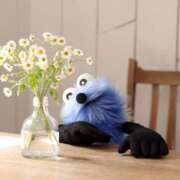 ヒメ日記 2025/07/29 01:00 投稿 ユヅ AMOUR（アムール）