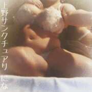 ヒメ日記 2024/12/09 12:00 投稿 にな サンクチュアリ(上野)