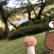 ヒメ日記 2025/01/11 12:26 投稿 れいこ 吉祥寺大人めシンデレラ（シンデレラグループ）