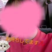 ヒメ日記 2025/02/21 17:06 投稿 しのの ばつぐん素人プロダクション