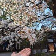 ヒメ日記 2025/04/16 16:36 投稿 しのの ばつぐん素人プロダクション