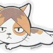 ヒメ日記 2025/01/20 22:51 投稿 しのの 京都デリヘル女学院