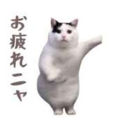 ヒメ日記 2025/01/22 18:48 投稿 しのの 京都デリヘル女学院