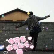 ヒメ日記 2025/03/26 19:12 投稿 しのの 京都デリヘル女学院