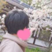 ヒメ日記 2025/04/09 16:31 投稿 しのの 京都デリヘル女学院