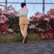 ヒメ日記 2025/04/24 18:24 投稿 しのの 京都デリヘル女学院