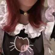 ヒメ日記 2025/10/31 12:16 投稿 りね club さくら日本橋店