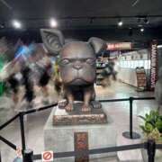 ヒメ日記 2025/07/08 17:31 投稿 りね 奥様さくら日本橋店