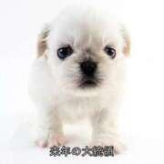 ヒメ日記 2025/01/14 17:30 投稿 はな MAHARAJA(マハラジャ)千葉