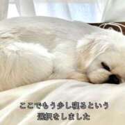 ヒメ日記 2025/02/27 20:31 投稿 はな MAHARAJA(マハラジャ)千葉