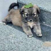 ヒメ日記 2025/08/24 22:58 投稿 はな MAHARAJA(マハラジャ)千葉