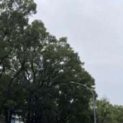 ヒメ日記 2025/11/09 15:32 投稿 ちい 横浜人妻セレブリティ（ユメオト）