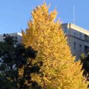 ちい 今年中に会えるかな✨ 横浜人妻セレブリティ（ユメオト）
