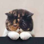 ヒメ日記 2025/12/09 16:48 投稿 紅蘭(くらん) PLUS十三店