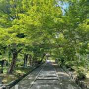 ヒメ日記 2025/06/23 03:31 投稿 ゆりえ 熟女の風俗最終章 本厚木店