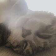 ヒメ日記 2025/07/17 11:48 投稿 ゆりえ 熟女の風俗最終章 本厚木店