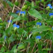 ヒメ日記 2025/07/18 17:54 投稿 ゆりえ 熟女の風俗最終章 本厚木店