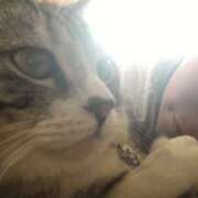 ヒメ日記 2025/09/30 11:36 投稿 ゆりえ 熟女の風俗最終章 本厚木店