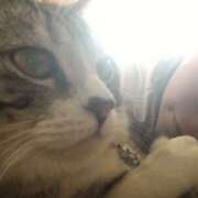 ヒメ日記 2025/11/04 12:11 投稿 ゆりえ 熟女の風俗最終章 本厚木店