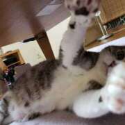 ヒメ日記 2025/11/12 16:11 投稿 ゆりえ 熟女の風俗最終章 本厚木店