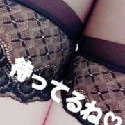 ヒメ日記 2025/11/16 12:04 投稿 ゆりえ 熟女の風俗最終章 本厚木店