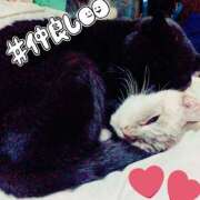 ゆりえ 自己紹介🤍 熟女の風俗最終章 本厚木店