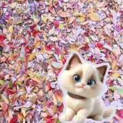 ヒメ日記 2024/12/14 08:24 投稿 ひめか もしも清楚な20、30代の妻とキスイキできたら横浜店