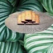 ヒメ日記 2024/12/20 08:32 投稿 ひめか もしも清楚な20、30代の妻とキスイキできたら横浜店