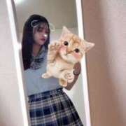 ヒメ日記 2025/05/31 19:10 投稿 きき 浜松ハンパじゃない学園