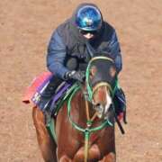 ヒメ日記 2025/11/16 13:44 投稿 南奈（みな） PLUS難波店