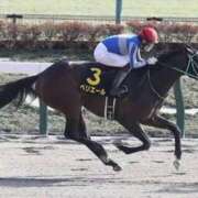 ヒメ日記 2026/02/22 13:14 投稿 南奈（みな） PLUS難波店