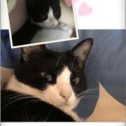 ヒメ日記 2026/02/22 15:14 投稿 南奈（みな） PLUS難波店