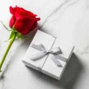 ヒメ日記 2026/02/28 09:14 投稿 南奈（みな） PLUS難波店