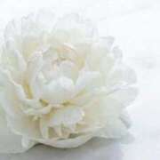 ヒメ日記 2026/03/12 07:04 投稿 南奈（みな） PLUS難波店