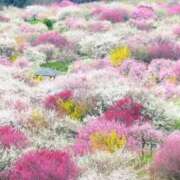 ヒメ日記 2026/03/18 12:44 投稿 南奈（みな） PLUS難波店