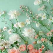 ヒメ日記 2026/03/20 07:44 投稿 南奈（みな） PLUS難波店