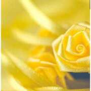 ヒメ日記 2026/04/02 12:48 投稿 南奈（みな） PLUS難波店