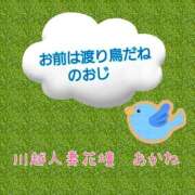ヒメ日記 2024/12/25 15:28 投稿 あかね モアグループ川越人妻花壇