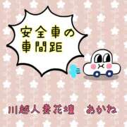 ヒメ日記 2024/12/29 17:33 投稿 あかね モアグループ川越人妻花壇
