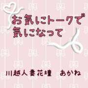 ヒメ日記 2024/12/29 21:33 投稿 あかね モアグループ川越人妻花壇