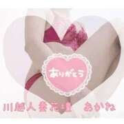 ヒメ日記 2025/02/28 18:27 投稿 あかね モアグループ川越人妻花壇