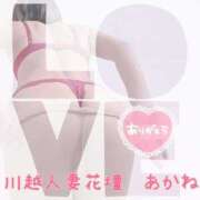 ヒメ日記 2025/03/01 01:54 投稿 あかね モアグループ川越人妻花壇