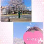 ヒメ日記 2025/04/05 10:10 投稿 あかね モアグループ川越人妻花壇