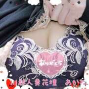 ヒメ日記 2025/04/05 18:26 投稿 あかね モアグループ川越人妻花壇