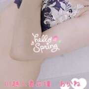 ヒメ日記 2025/04/06 09:48 投稿 あかね モアグループ川越人妻花壇