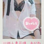 ヒメ日記 2025/04/07 07:30 投稿 あかね モアグループ川越人妻花壇