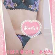 ヒメ日記 2025/04/11 16:28 投稿 あかね モアグループ川越人妻花壇