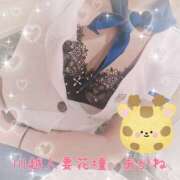 ヒメ日記 2025/04/13 07:00 投稿 あかね モアグループ川越人妻花壇